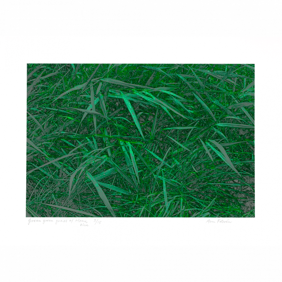 Digital print "Green green grass of Home, blue" by Swedish artist Ann Frössen at ed. art
