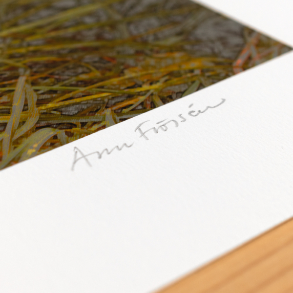 Digitalt pigmenttryck "Green green grass of Home, brown" av svenska konstnären Ann Frössen hos ed. art