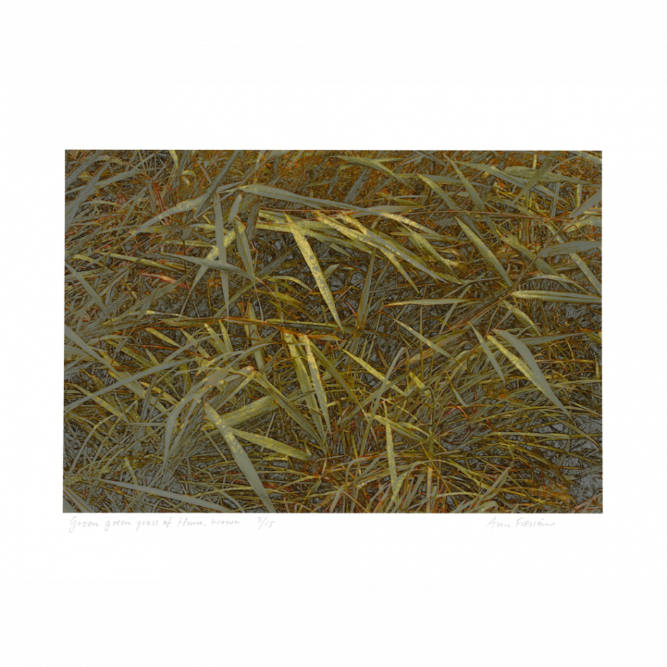 Digital print "Green green grass of Home, brown" by Swedish artist Ann Frössen at ed. art