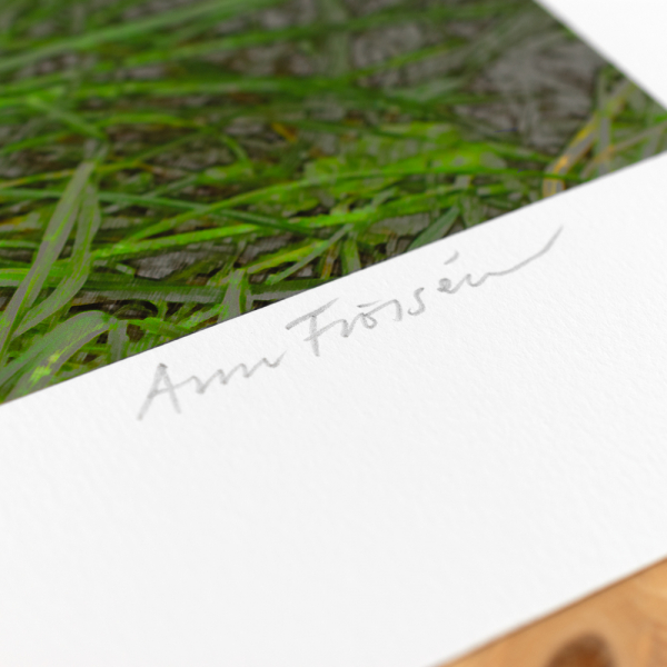Digital print "Green green grass of Home, green" by Swedish artist Ann Frössen at ed. art