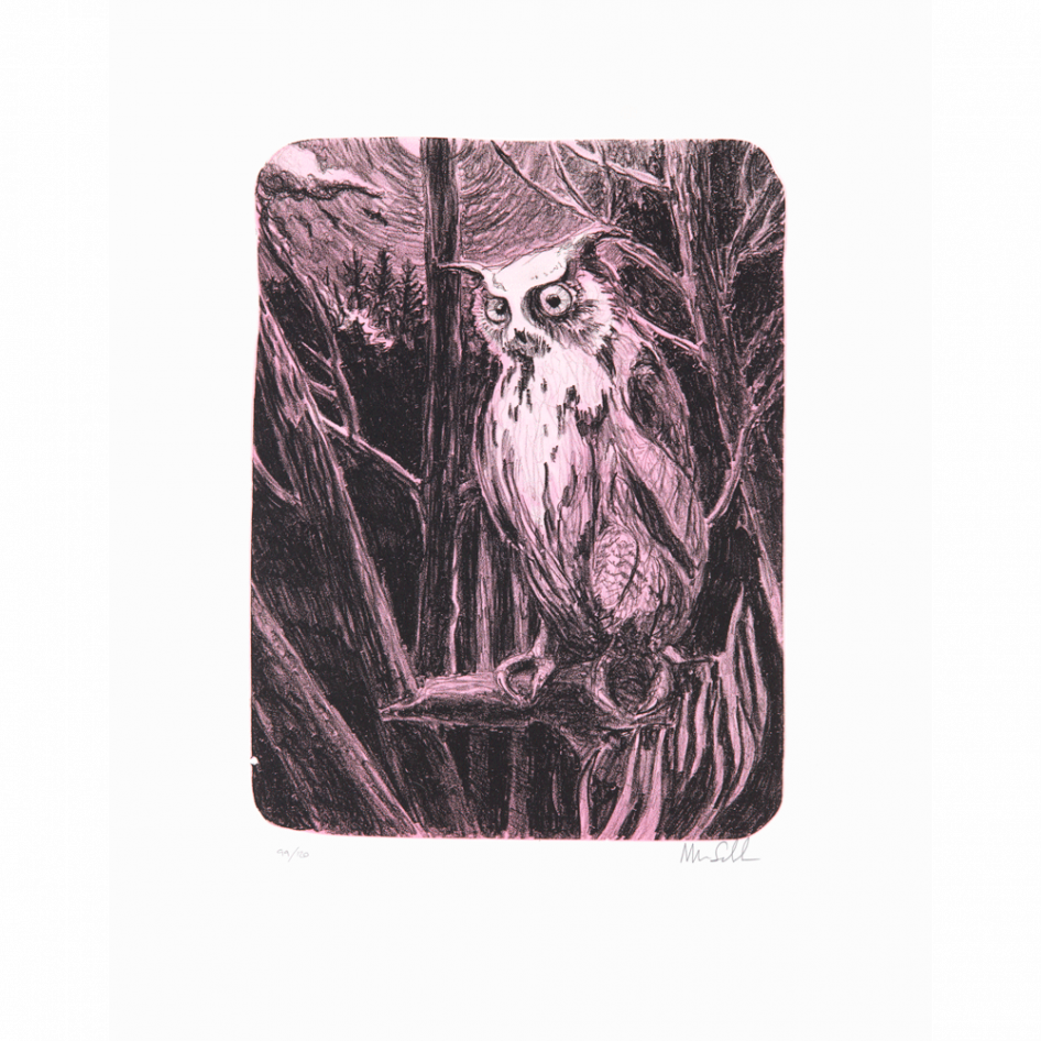 "Night Owl" a lithograph by Morten Schelde, ed-art.se
