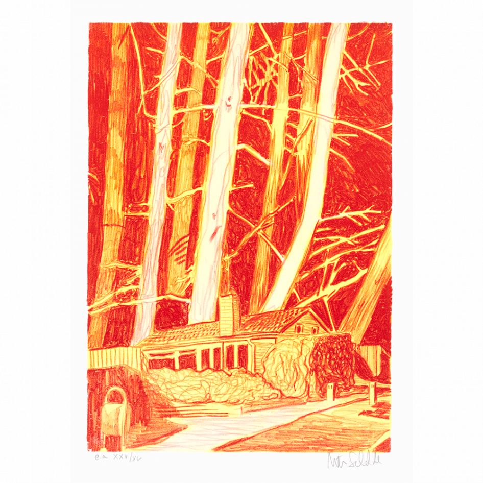"House in the woods" a lithograph by Morten Schelde, ed-art.se