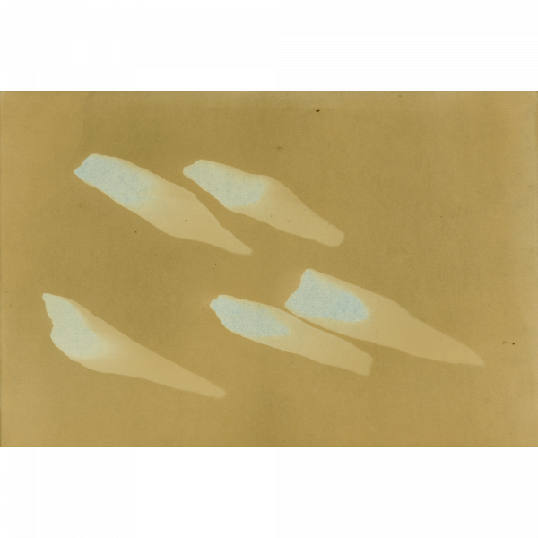 "Lapis Nubes VI", cyonotype by Swedish artist Cecilia Ömalm at ed. art