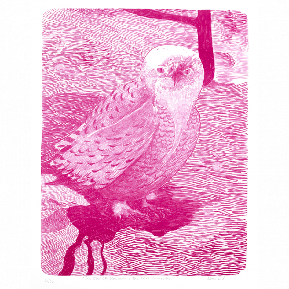 "The end of Dinosaurs/The Bird Connection" a lithography by Morten Schelde, ed-art.se