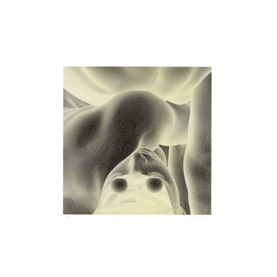 "The Mesh Eyes (inverted)", intaglio print by Ditte Ejlerskov at ed. art