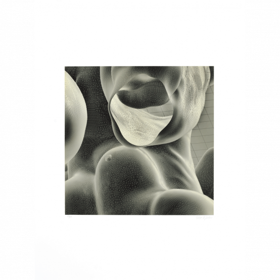"The Inside Body Scape (inverted, grey)", intaglio print by Ditte Ejlerskov at ed. art