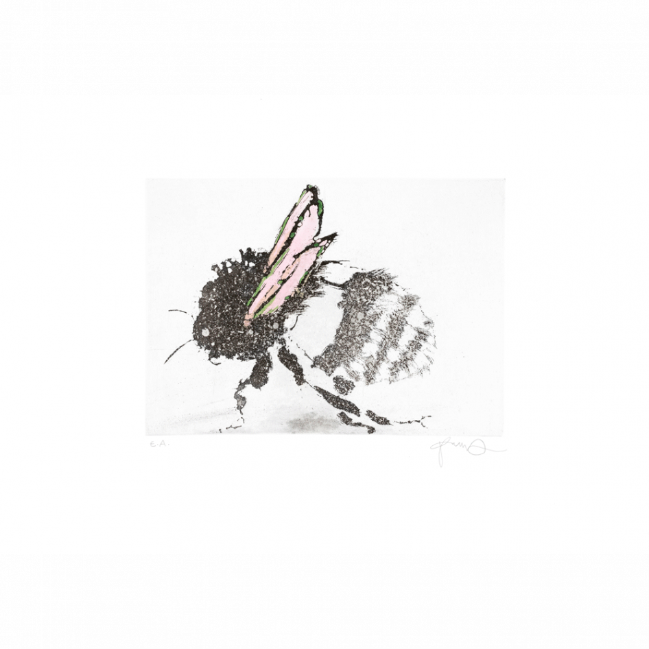 "Bumblebee (rosa)" etsning av konstnär Patrick Wagner hos ed. art